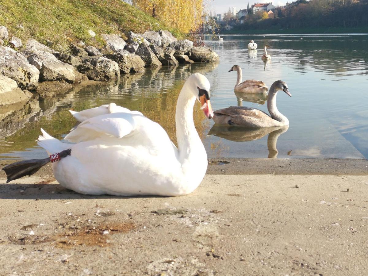 Apartament Lent Maribor